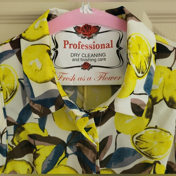 Elodie Cottagecore Lemon Sleeveless Mini Dress w/Buttons & Collar, Size Small - Picture 3 of 15